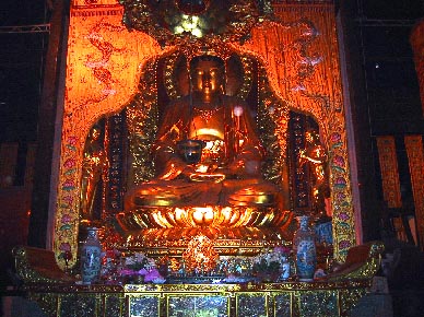fudasan54.jpg