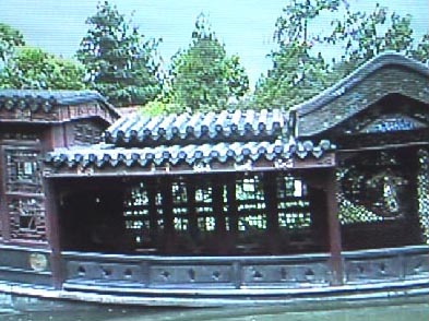 nankin29摜
