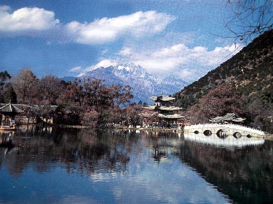 reikou80.jpg