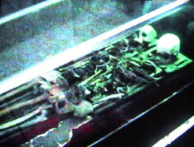 sankyo66摜