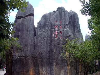 sekirin19.jpg