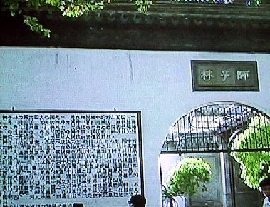 sosyu41摜